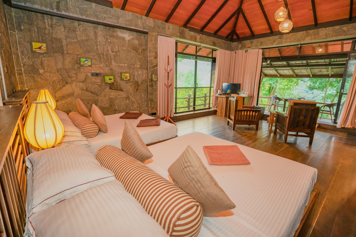 Suite Room